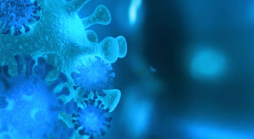 速自查!这种厨房“万金油”别再直接接触食物了!潜在危害比你想象的要大得多 速自查!这种厨房“万金油”别再直接接触食物了!潜在危害比你想象的要大得多