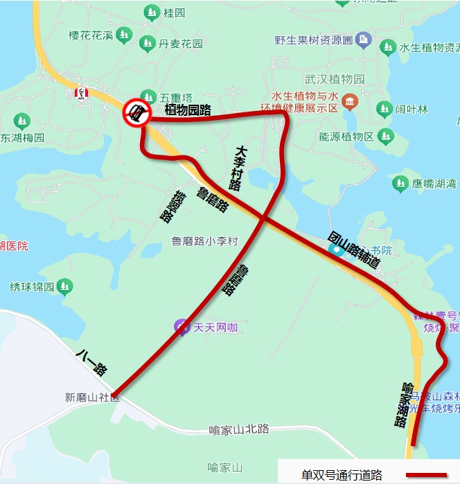 本周末赏花热，武汉交警发布出行提醒