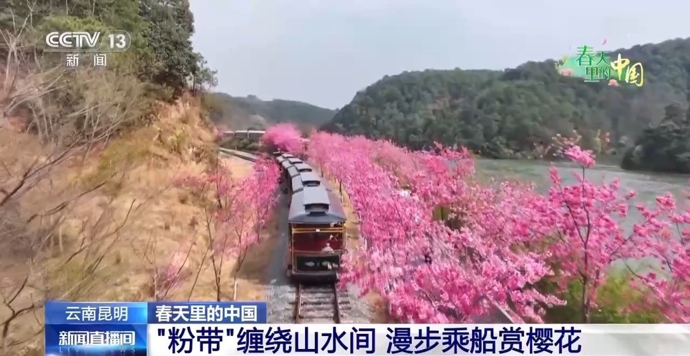 各地春日赏花有哪些好去处?请看这份赏花攻略 各地春日赏花有哪些好去处?请看这份赏花攻略