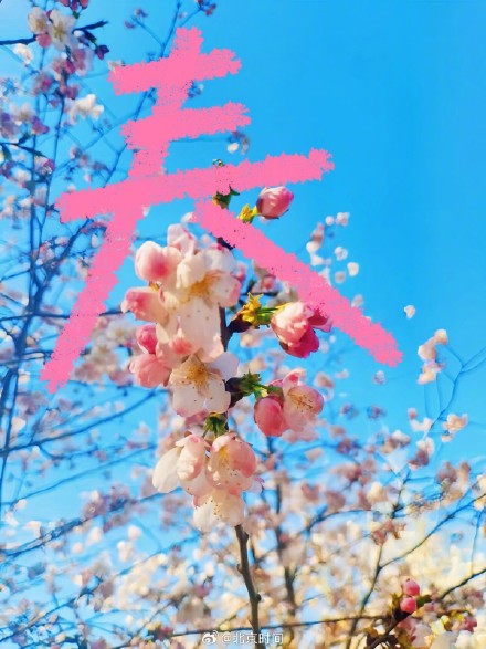 用八笔汉字收藏北京春日