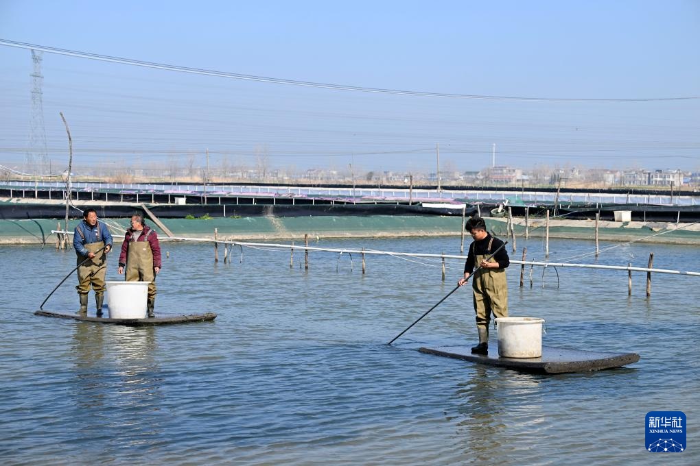 “90后”新农人的水上春耕季 “90后”新农人的水上春耕季