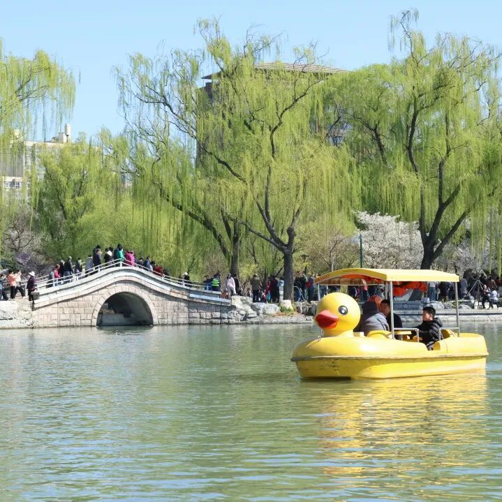 明天起，北京五家市属公园游船开航！购票通道——