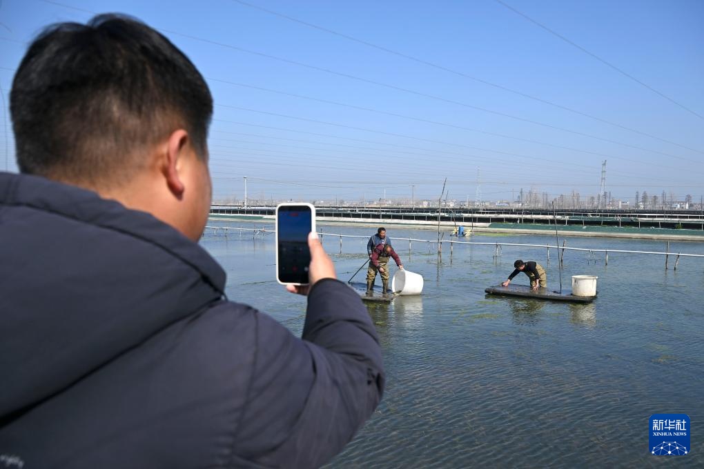 “90后”新农人的水上春耕季 “90后”新农人的水上春耕季