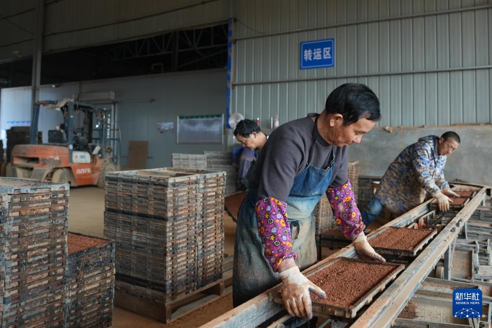 三湘大地备春耕 三湘大地备春耕