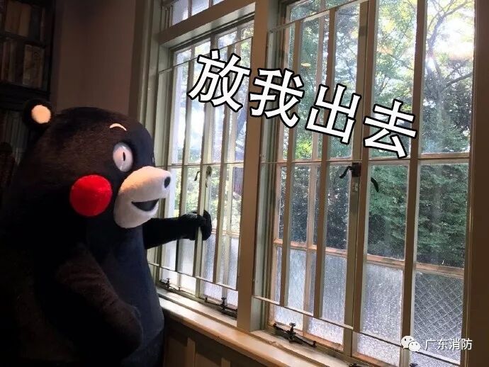 5楼突然起火，13岁的她一脚踹出了生路……