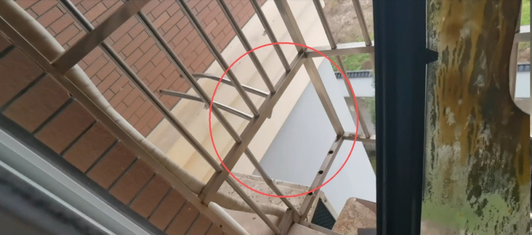 5楼突然起火，13岁的她一脚踹出了生路……