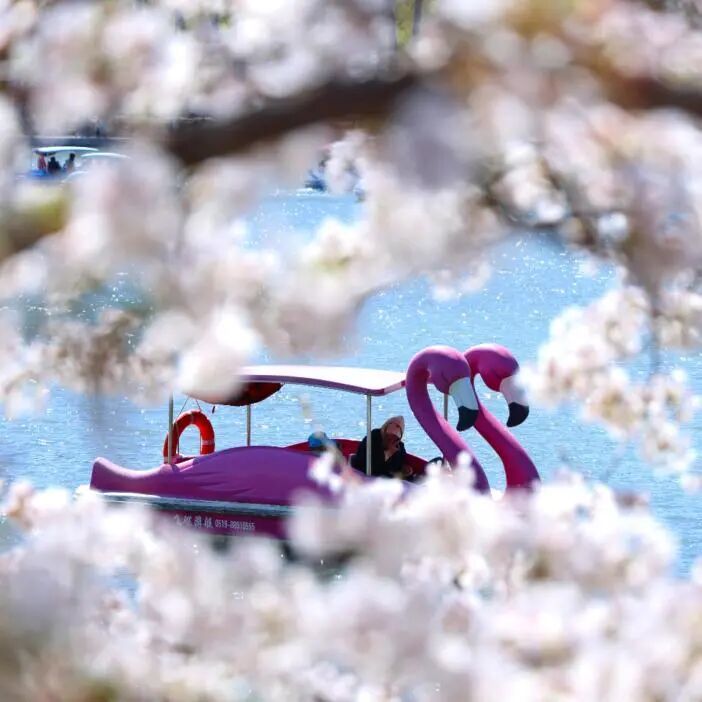 明天起，北京五家市属公园游船开航！购票通道——