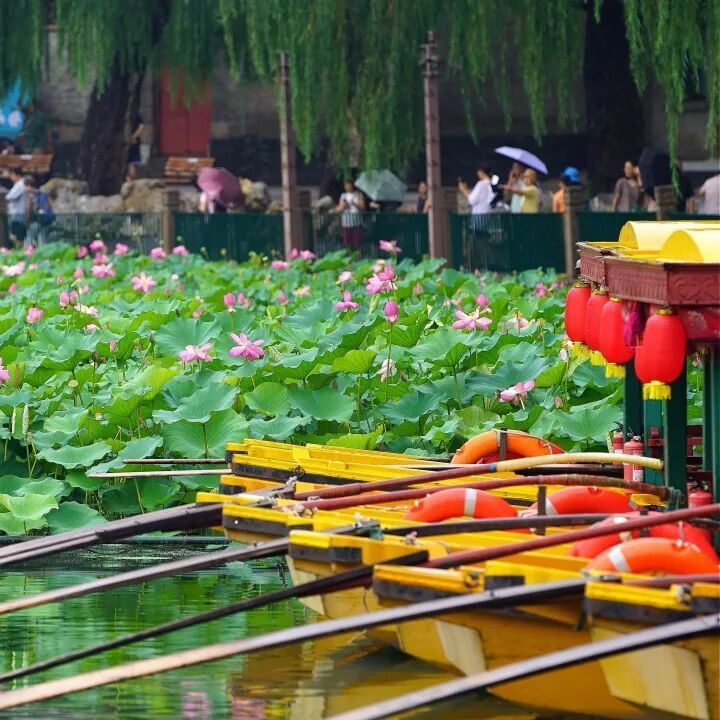 明起，北京五家市属公园游船开航！