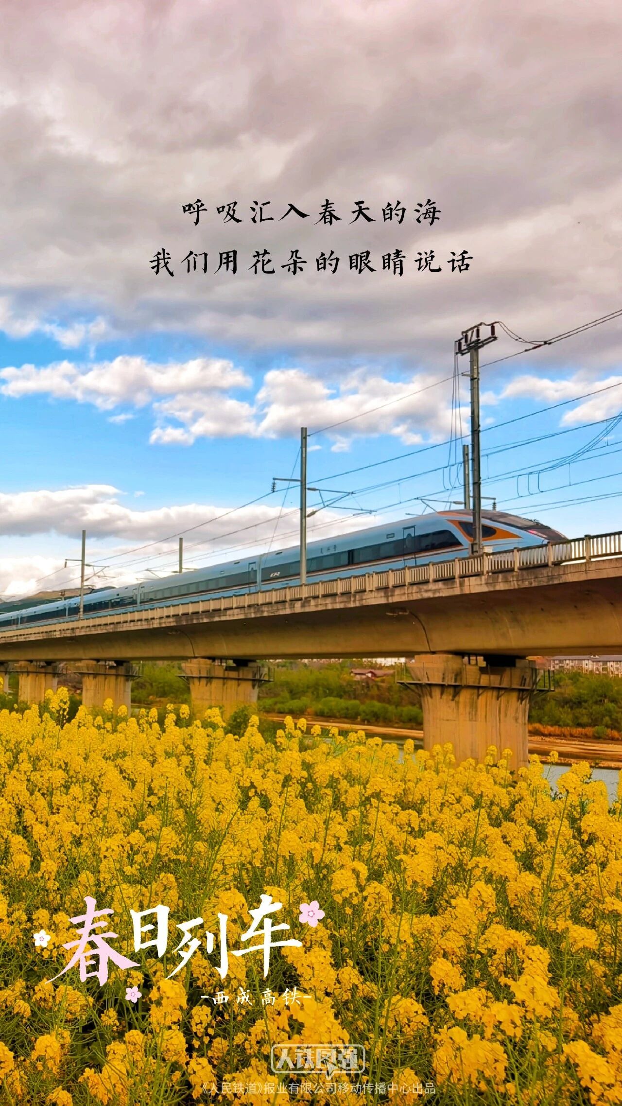 转存收藏!春日花海列车壁纸 转存收藏!春日花海列车壁纸