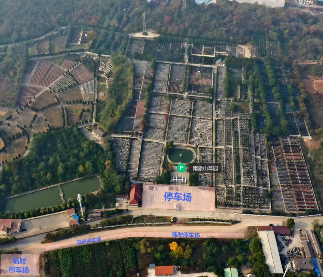 南京市民政局提醒：祭扫出行已进入高峰期