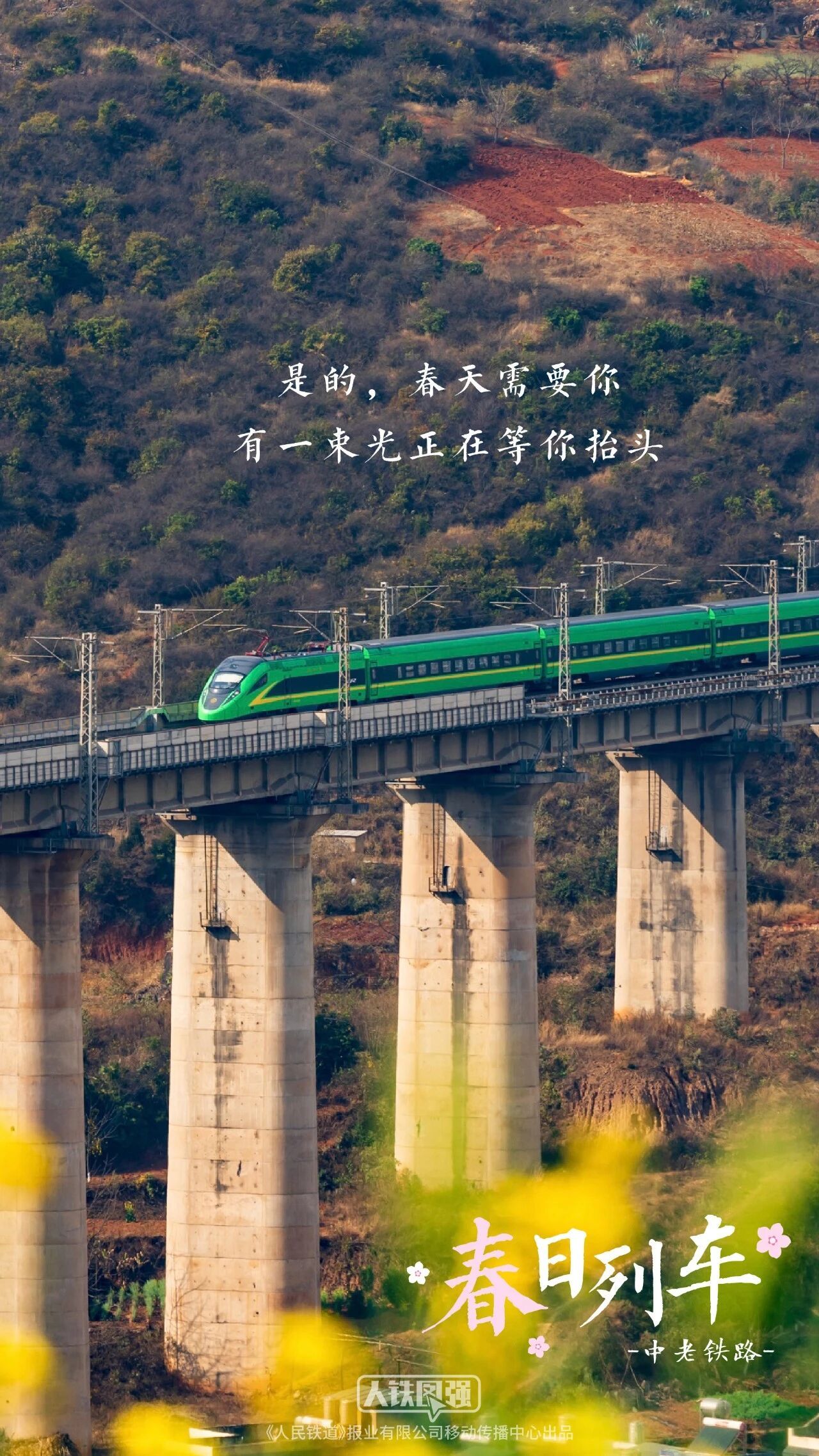 转存收藏!春日花海列车壁纸 转存收藏!春日花海列车壁纸