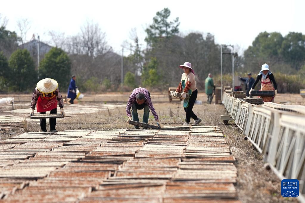 三湘大地备春耕 三湘大地备春耕