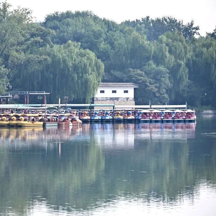 明起，北京五家市属公园游船开航！