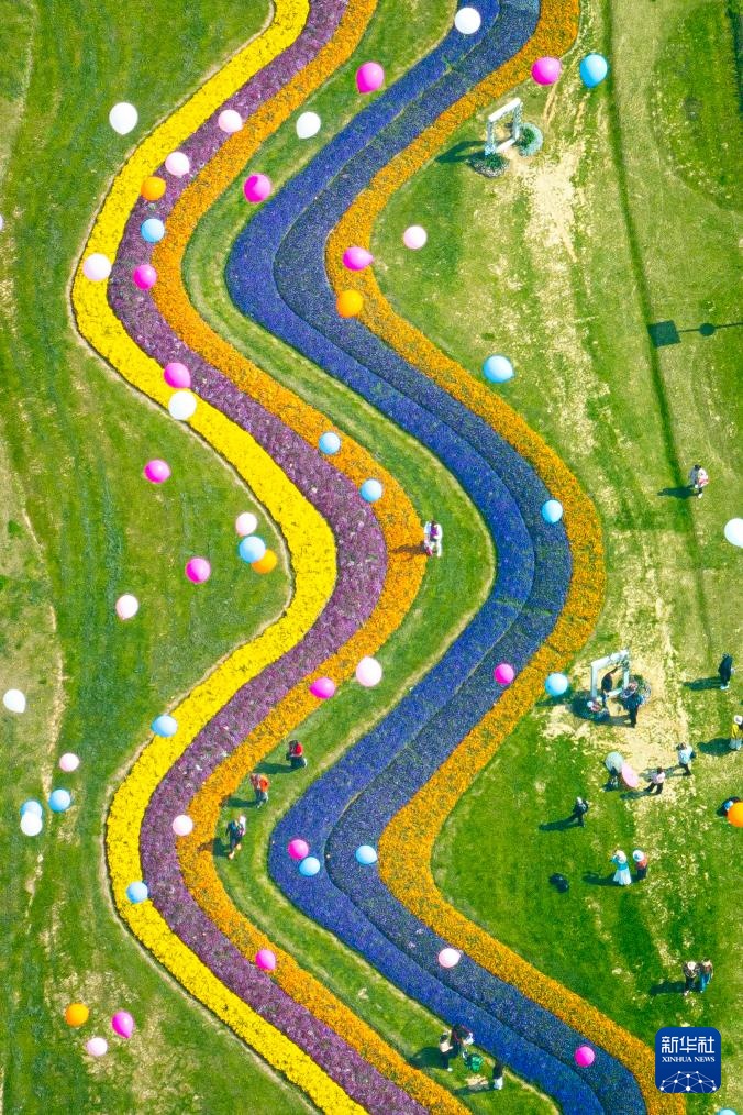 春光明媚赏花时 春光明媚赏花时