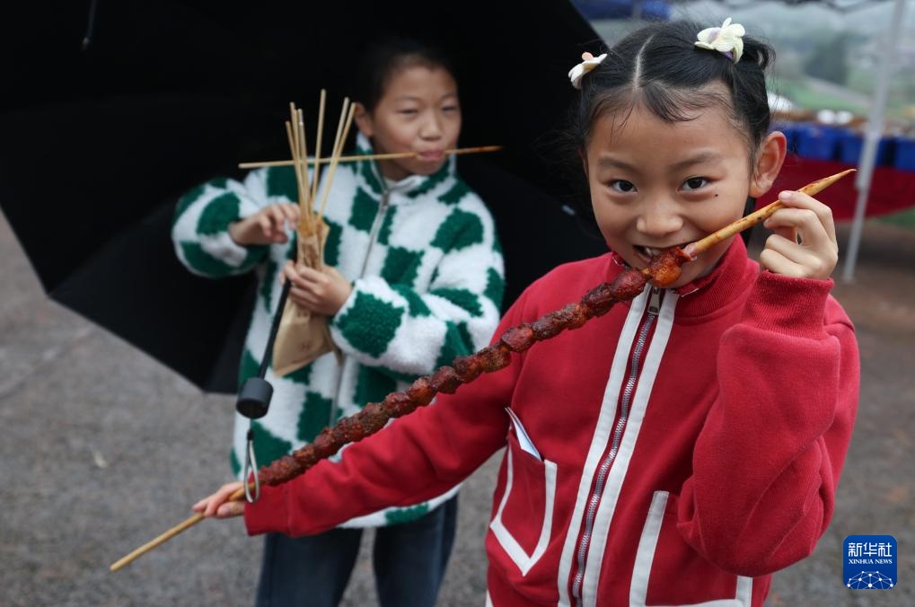 四川荣县：乐享乡村田园会