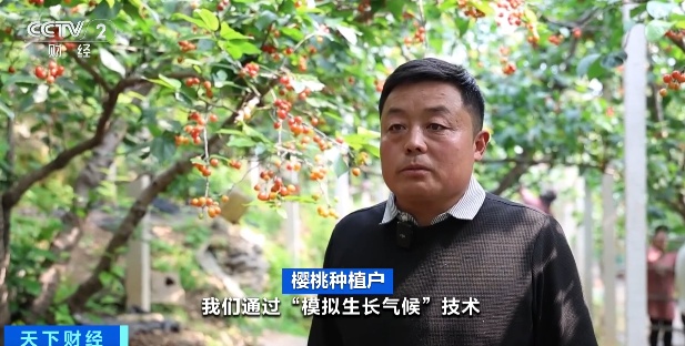 火爆!你爱吃的它,抢“鲜”上市 火爆!你爱吃的它,抢“鲜”上市