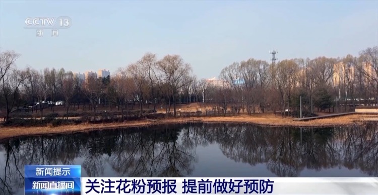 花粉过敏其实与“花”无关 它才是元凶→