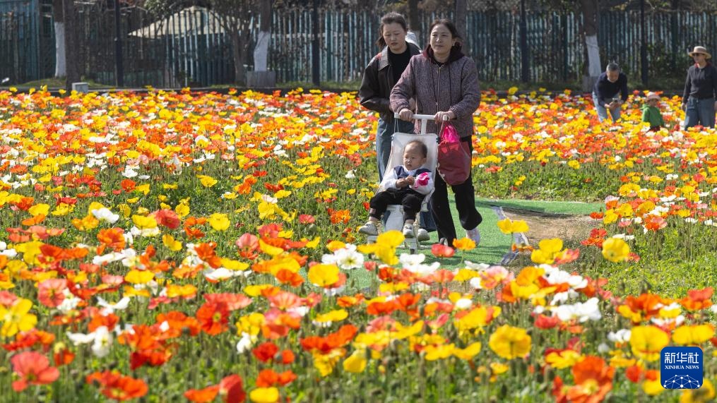 春光明媚赏花时 春光明媚赏花时