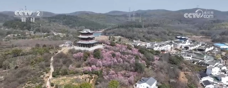 各地推出新场景解锁新“花”样 “赏花+”激活春日经济 各地推出新场景解锁新“花”样 “赏花+”激活春日经济