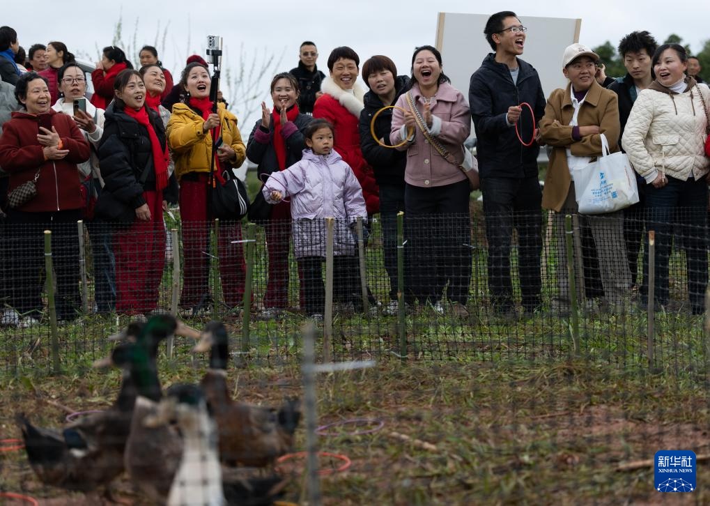 四川荣县：乐享乡村田园会