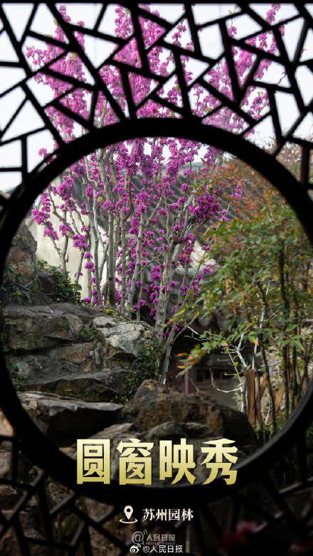 一组中国圆祝你圆圆满满 一组中国圆祝你圆圆满满