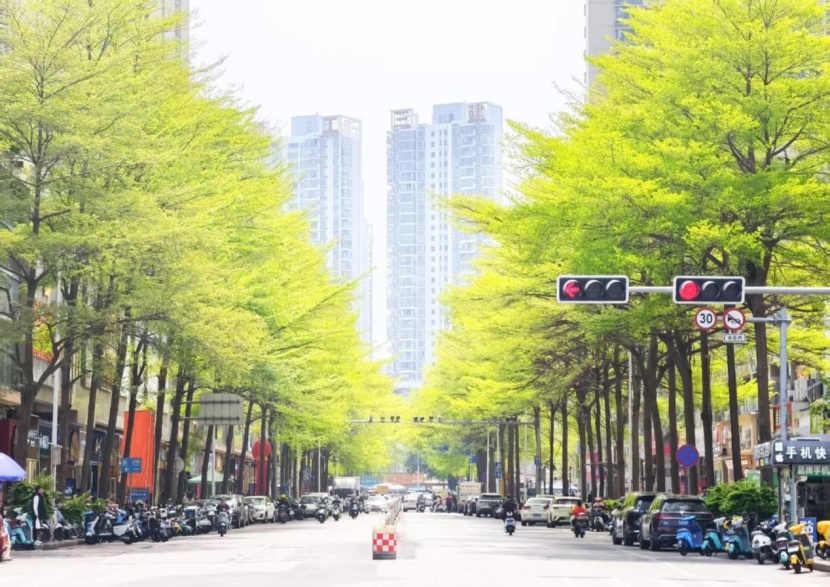 天气要“变脸”!有2股冷空气将到广西 天气要“变脸”!有2股冷空气将到广西