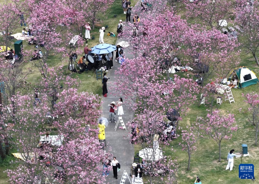 春光明媚赏花时 春光明媚赏花时