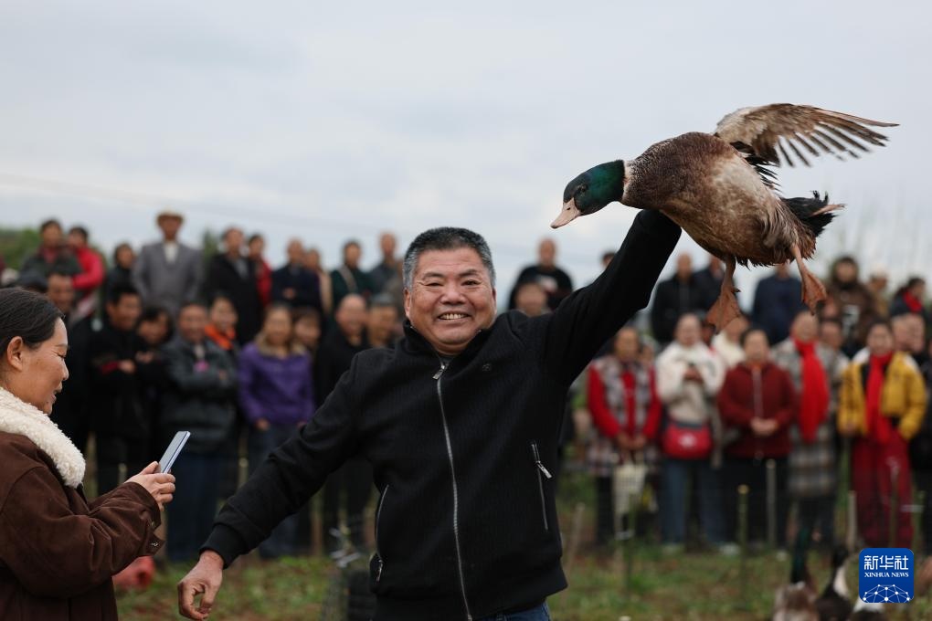 四川荣县：乐享乡村田园会