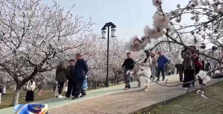 花粉进入高峰期 易过敏人群做好这几点→ 花粉进入高峰期 易过敏人群做好这几点→