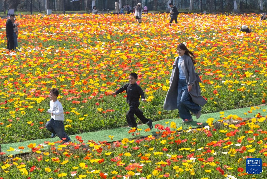 春光明媚赏花时 春光明媚赏花时
