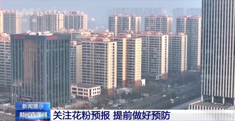 花粉过敏其实与“花”无关 它才是元凶→