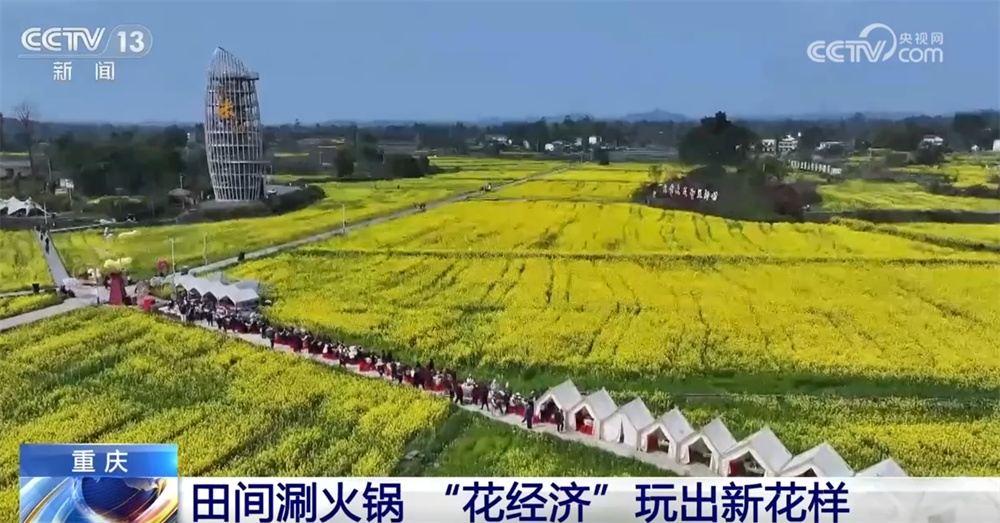 “花田+”新玩法解锁好春光 农文旅融合新业态打造“春日经济”消费新场景