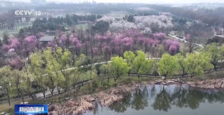 花粉进入高峰期 易过敏人群做好这几点→ 花粉进入高峰期 易过敏人群做好这几点→