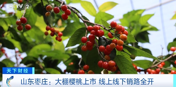 火爆!你爱吃的它,抢“鲜”上市 火爆!你爱吃的它,抢“鲜”上市