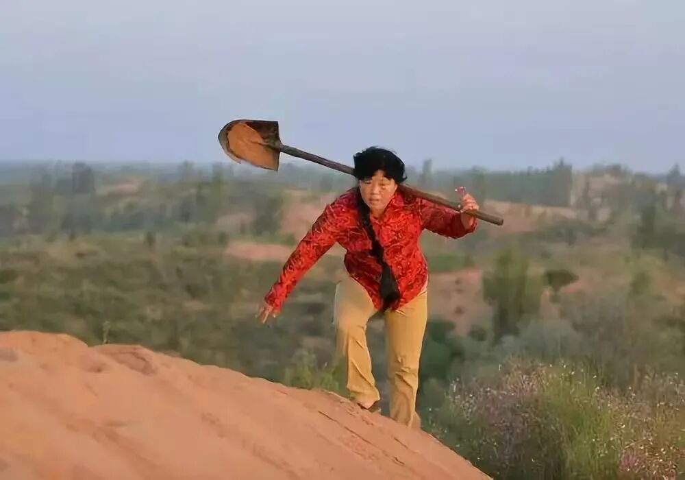 种树40年，她的钢钎磨短了60厘米