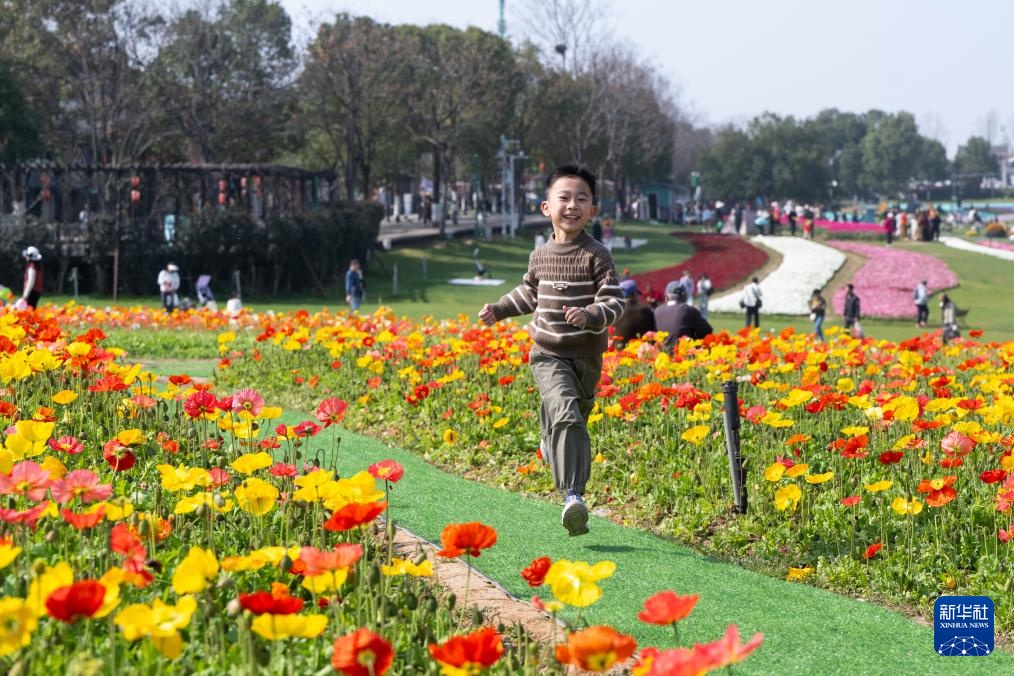 春光明媚赏花时 春光明媚赏花时