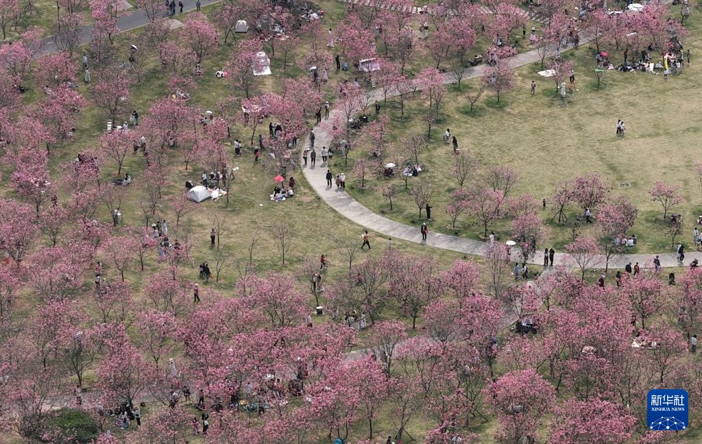 春光明媚赏花时 春光明媚赏花时