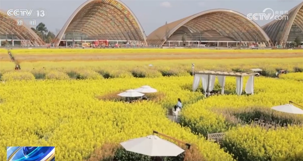 “花田+”新玩法解锁好春光 农文旅融合新业态打造“春日经济”消费新场景