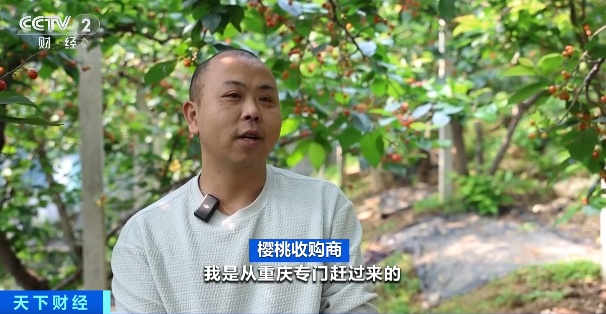 火爆!你爱吃的它,抢“鲜”上市 火爆!你爱吃的它,抢“鲜”上市