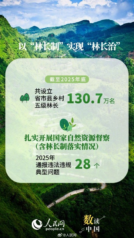 数说2025国土绿化新答卷 数说2025国土绿化新答卷