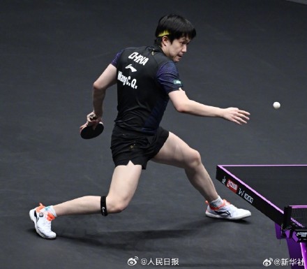 王楚钦止步WTT重庆冠军赛8强