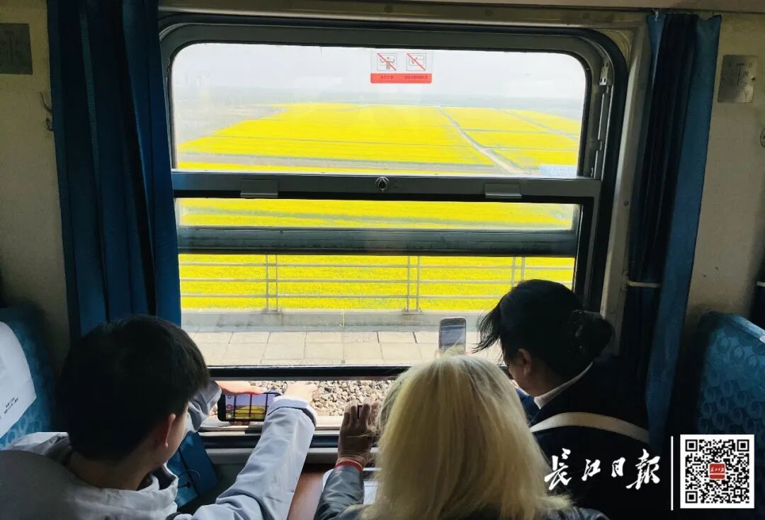 只要6元，今起在武汉开通！一上架秒售罄，有人宁愿全程站着也要来