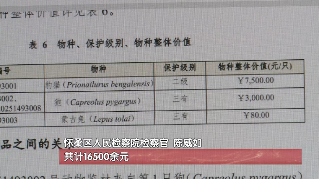 北京一男子猎捕野生动物被判刑