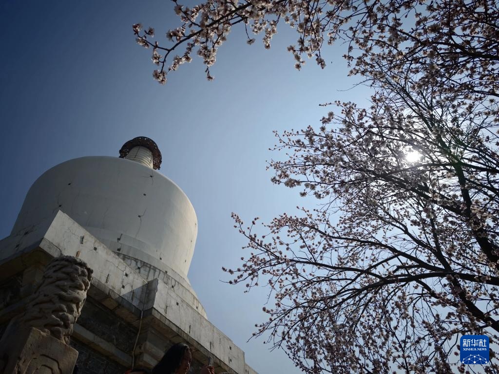 北海公园春色美 北海公园春色美