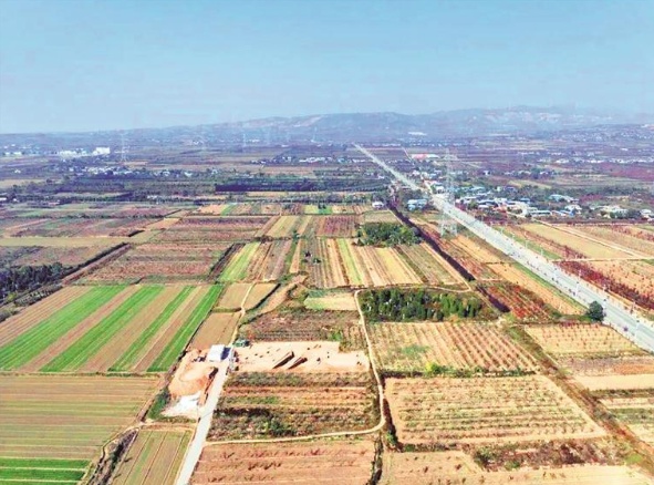 陕西三项考古参评“十大考古新发现”