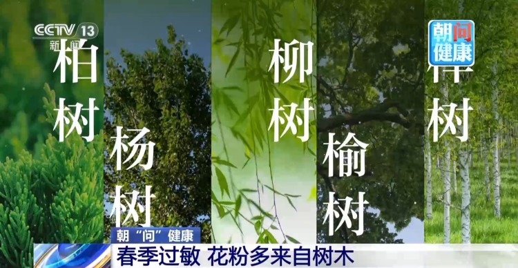 春季过敏进入高发期 花粉季必备防护指南请收→ 春季过敏进入高发期 花粉季必备防护指南请收→