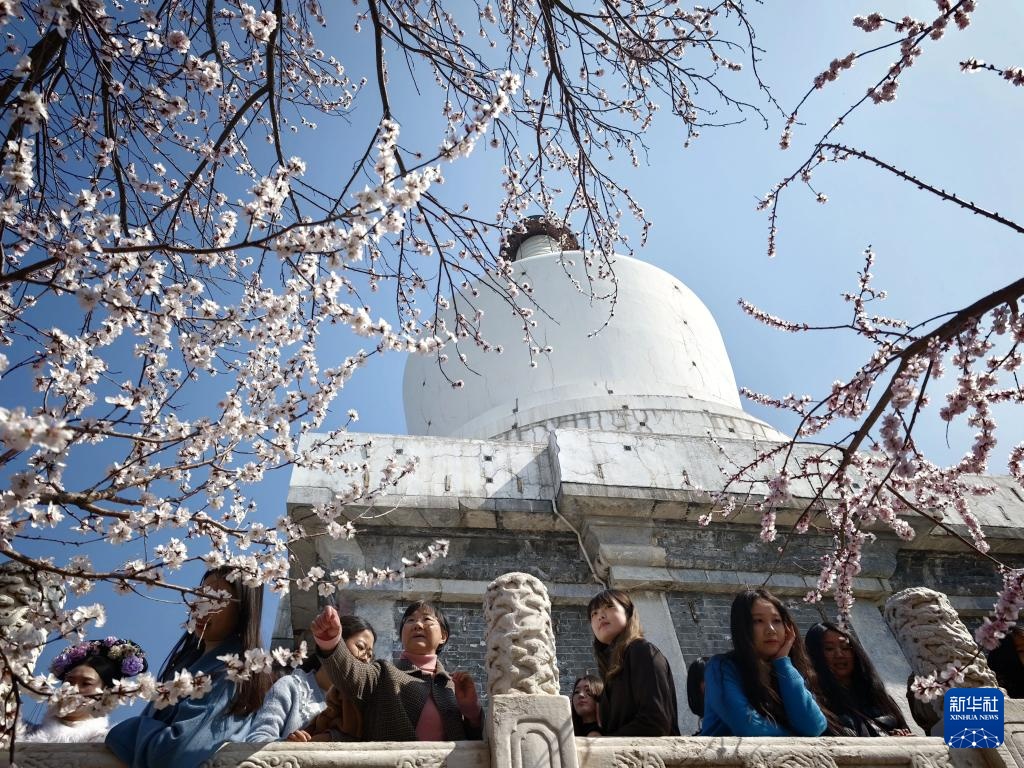 北海公园春色美 北海公园春色美