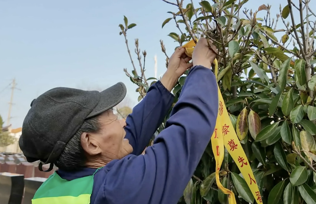 南京多家墓园出现清明祭扫首波人流高峰，停车攻略请收好！