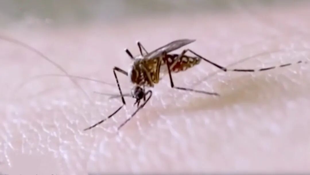 广东疾控提醒!如有症状,请立即就医→ 广东疾控提醒!如有症状,请立即就医→