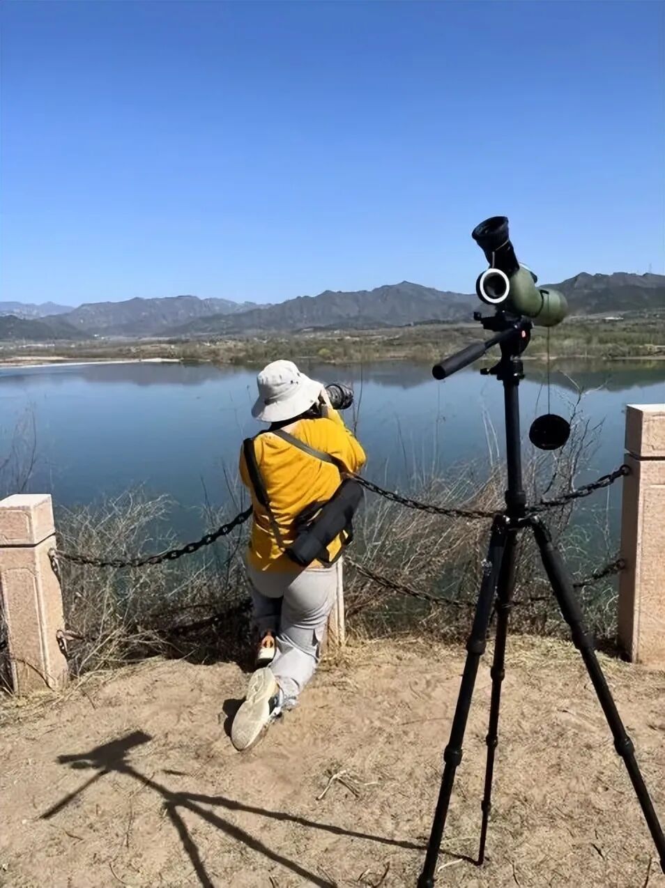 候鸟翩跹！来赴京城“生态之约”